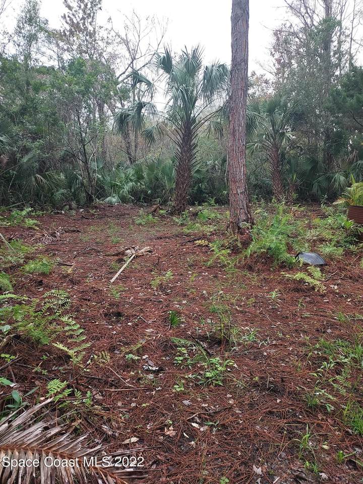 0000 Harrison Road - Photo 1