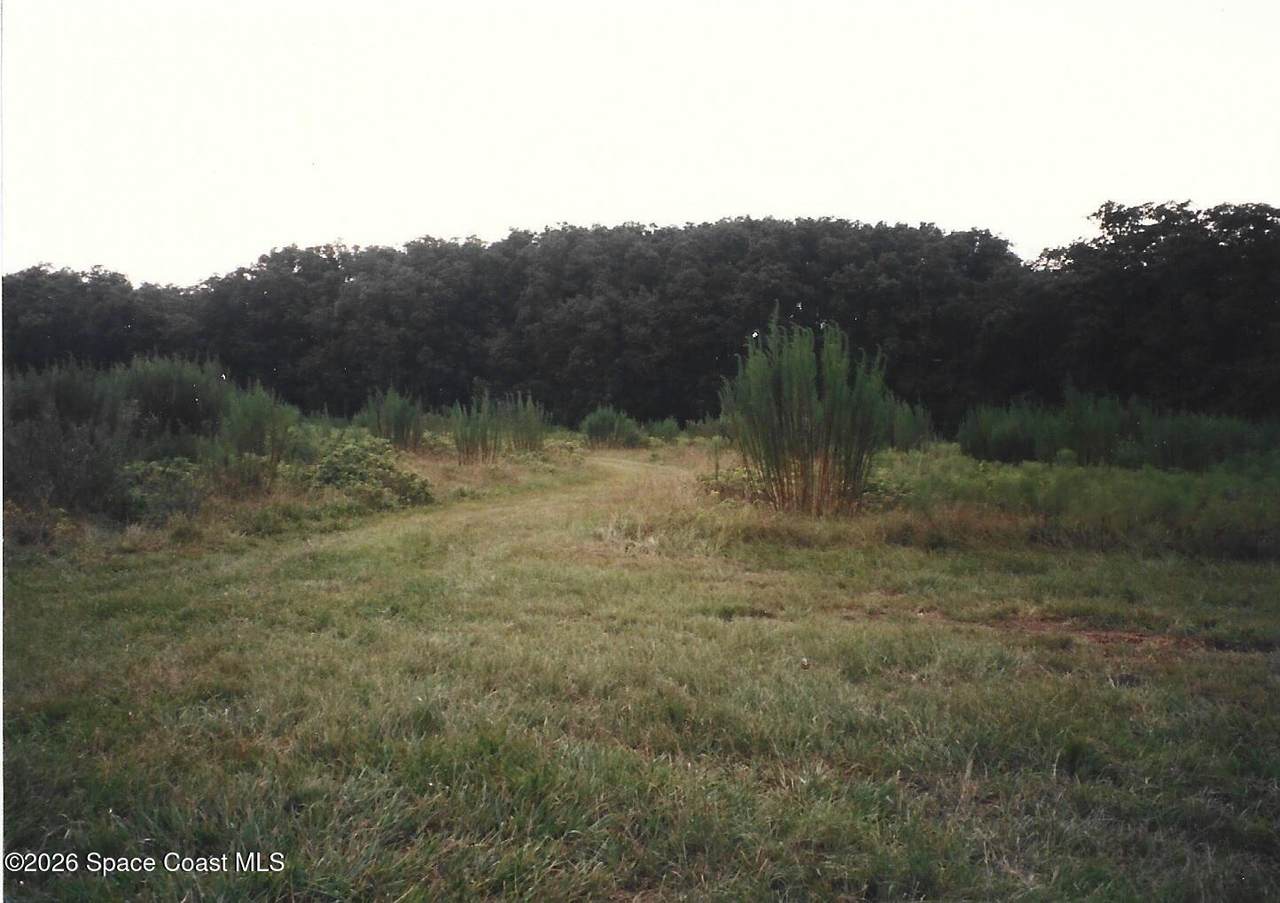 184 Guitar Drive - Photo 1