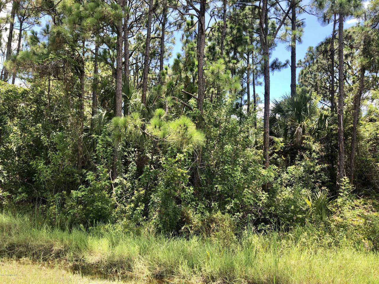 500 Thor Avenue - Photo 1