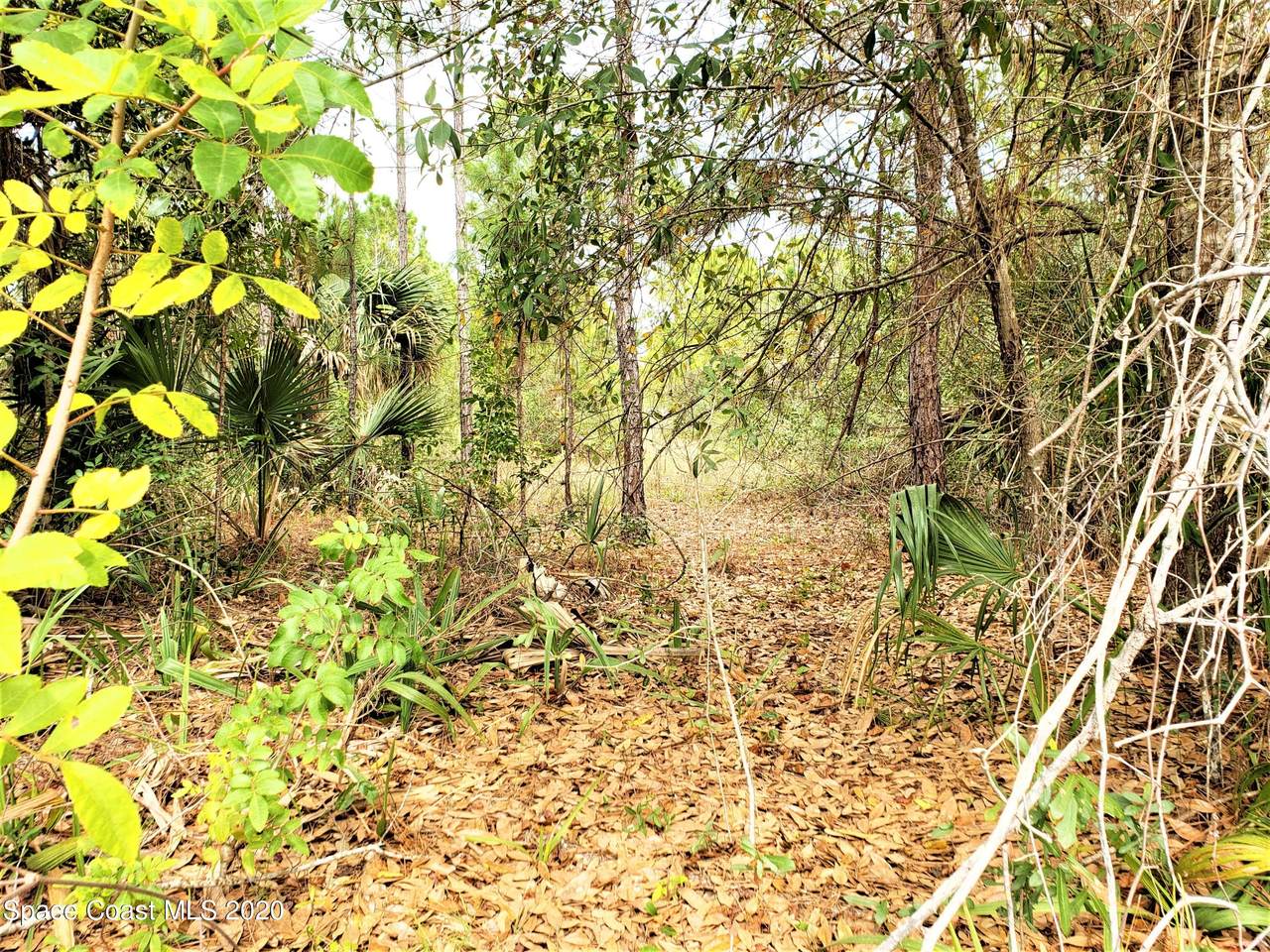 220 Deer Run Road - Photo 1
