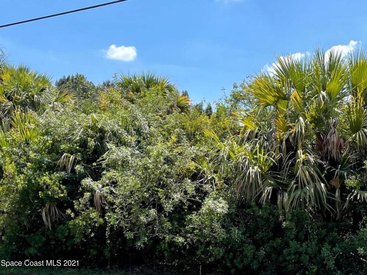 1025 Tevis Street - Photo 1