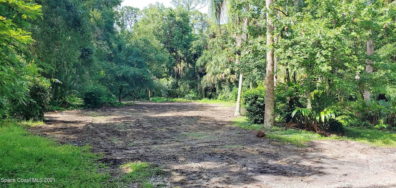 5819 Crane Road - Photo 1