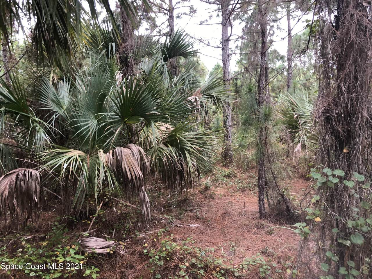 256 Faulkner Street - Photo 1