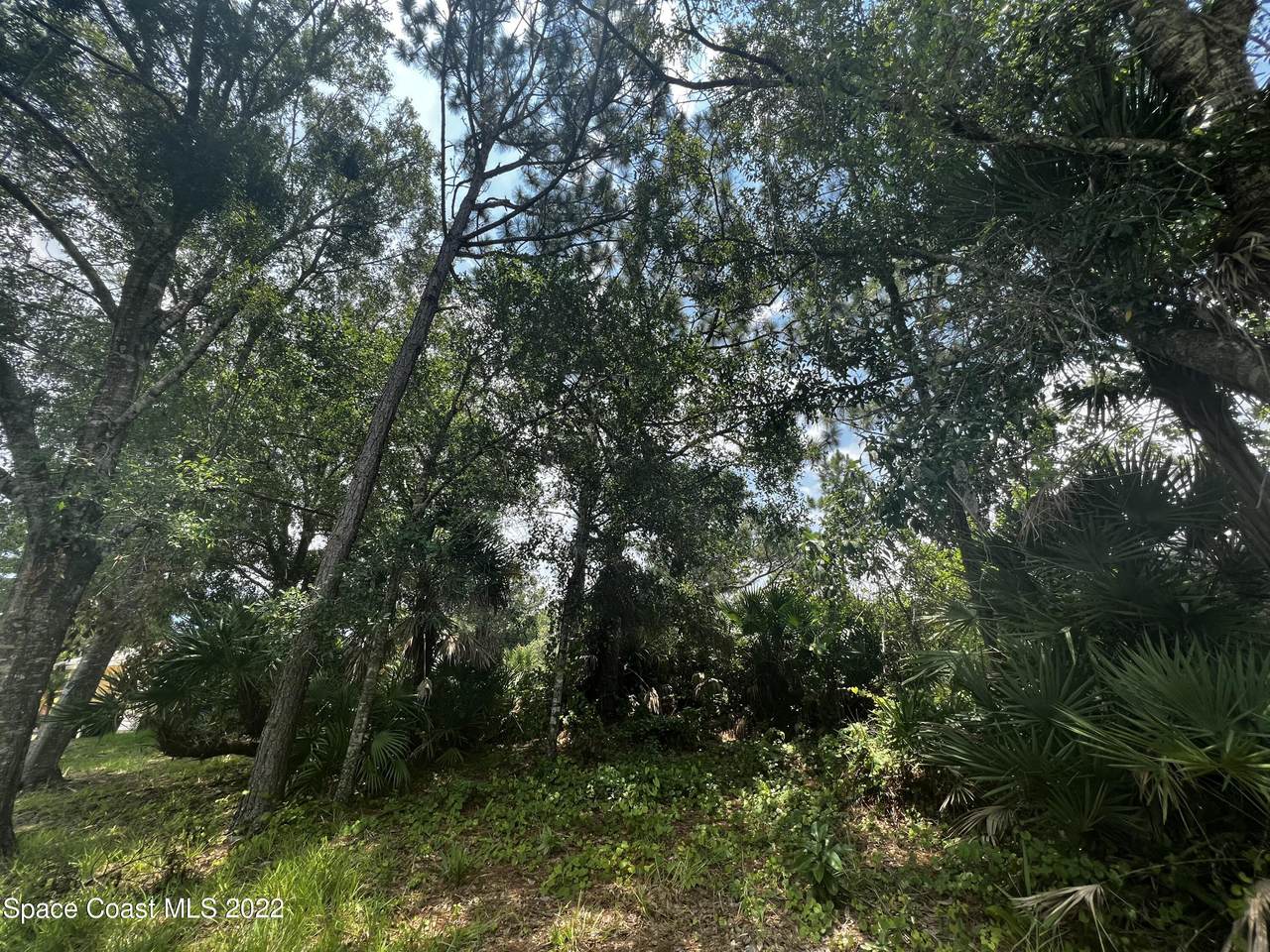 1634 Saint Street - Photo 1