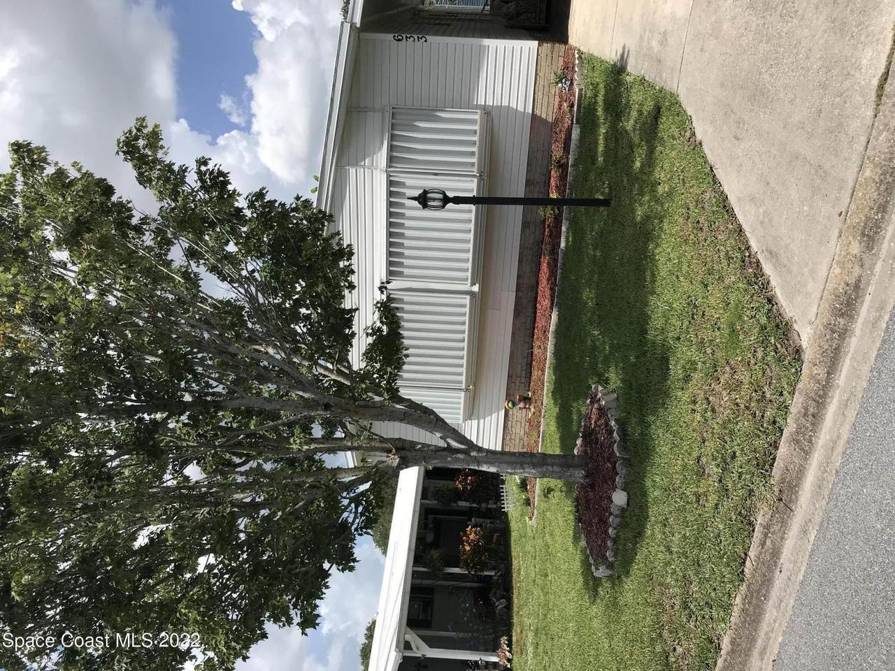 633 Amaryllis Drive - Photo 1