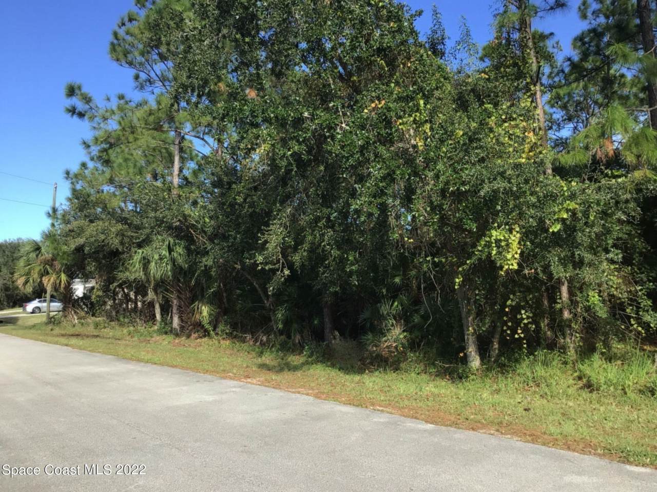 279 Triana Avenue - Photo 1