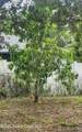 1058 Lava Street - Photo 32