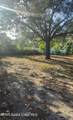 1058 Lava Street - Photo 46