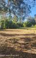 1058 Lava Street - Photo 48