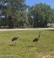 5425 James Lane - Photo 48