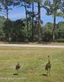 5425 James Lane - Photo 49