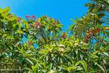 4527 Coquina Ridge Drive - Photo 98