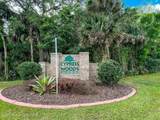 5541 Cinnamon Fern Boulevard - Photo 28