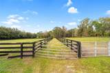 2745 80th Street - Photo 49