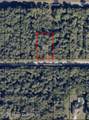 847 Nightengale Street - Photo 1