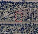 727 Sunshine Street - Photo 1