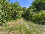 3545 Carriage Gate Drive - Photo 38