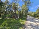 4600 Beacon Light Road - Photo 7
