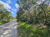 4600 Beacon Light Road - Photo 8