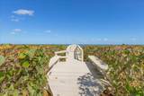 1177 Highway A1a - Photo 47