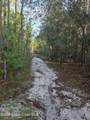 0000 Wood Duck Drive - Photo 16