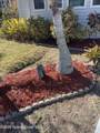 7566 Montauk Avenue - Photo 40