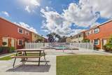 50 Needle Boulevard - Photo 31