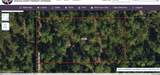 0 Palm Frond Road - Photo 2