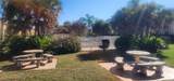2101 Forest Knoll Drive - Photo 36