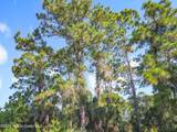 491 Fairbanks Street - Photo 9