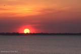 1412 Club Gardens Drive - Photo 29