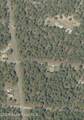 000 Amberjack Avenue - Photo 4