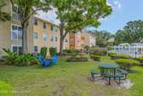 225 Tropical Trail - Photo 38