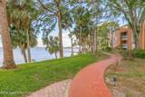 225 Tropical Trail - Photo 46