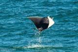 7135 Highway A1a - Photo 45