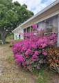 451 Papaya Circle - Photo 9