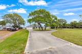 2729 Pineapple Avenue - Photo 3