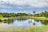 590 Remington Green Drive - Photo 39