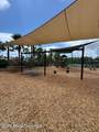 1164 Musgrass Circle - Photo 47