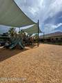 1164 Musgrass Circle - Photo 48