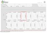 3937 12th Street - Photo 4