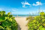 2580 Highway A1a - Photo 46