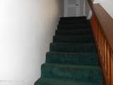 55 Needle Boulevard - Photo 8