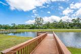 4224 Caladium Circle - Photo 60
