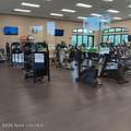 6858 Toland Drive - Photo 40
