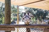 5800 Banana River Boulevard - Photo 45