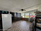 835 Vireo Drive - Photo 8