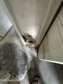 3501 D Avinci Way - Photo 8