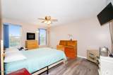 225 Tropical Trail - Photo 13