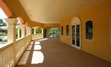 260 Tropical - Photo 5